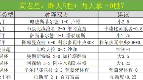哈蘭德英超處子季耀眼出色，自评满意指数满分！